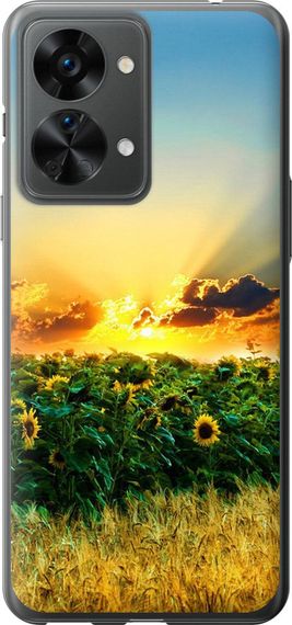 Чехол на OnePlus Nord 2T Украина "1601u-2640-17620"