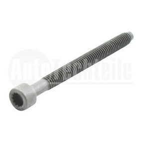 Болт крепления форсунки VW Caddy 1.9/2.0 TDI/SDI 04-10 / T5 1.9/2.5 TDI 03-09 / (M6x1x64), AutoTechteile, 310 3016, DRM0609