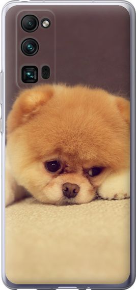 Чехол на Huawei Honor 30 Pro Boo 2 "890u-1920-17620"