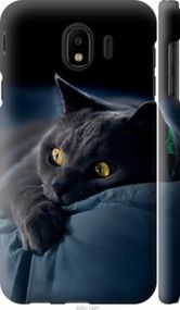 Чохол на Samsung Galaxy J4 2018 Димчастий кіт "825m-1487-2448"