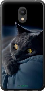 Чохол на Meizu M6 Димчастий кіт "825u-1349-2448"