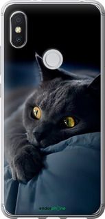 Чохол на Xiaomi Redmi S2 Димчастий кіт "825t-1494-2448"