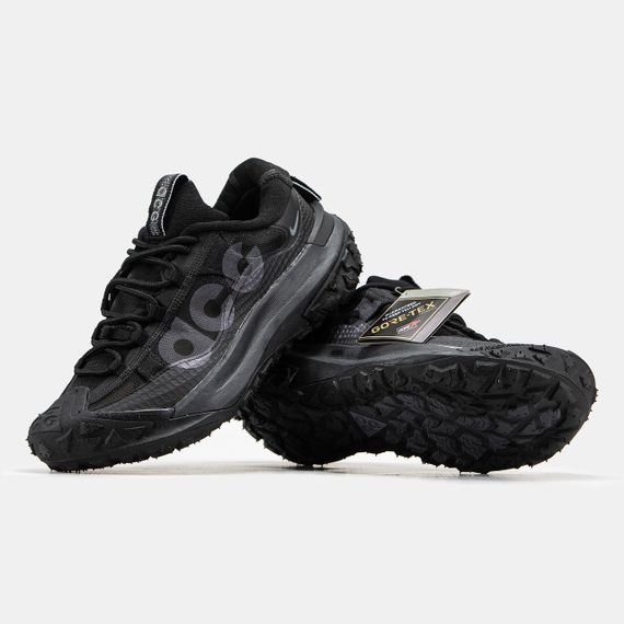 Чоловічі кросівки ACG Mountain Fly 2 Gore-Tex весна / літо / осінь 1300 42