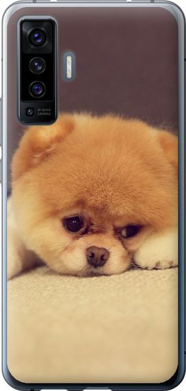 Чехол на Vivo X50 Boo 2 "890u-1955-17620"