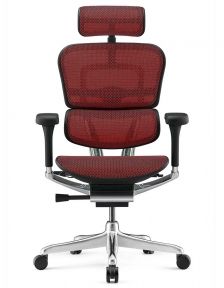 Кресло компьютерное ERGOHUMAN LUXURY 2 (EHL2-AB-HAM-5D-E-L) сетка Т-168-B3 SCARLET