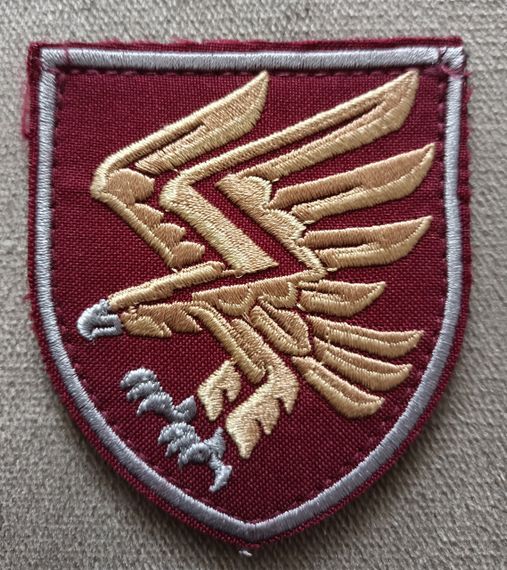 Шеврон 95 бригада