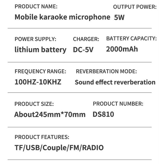 Караоке Микрофон-колонка DS810 Gold | Зображення 3