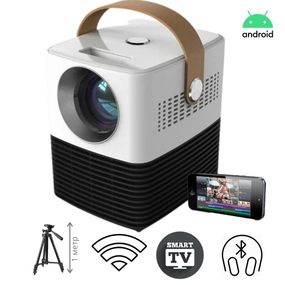 SMART проектор на ANDROID портативный XPRO PANOPLUS ZEBRA (3000 lumen) с подключением к iOS и Android для офиса, домашнего кинотеатра + Аэромышь (15415_651)
