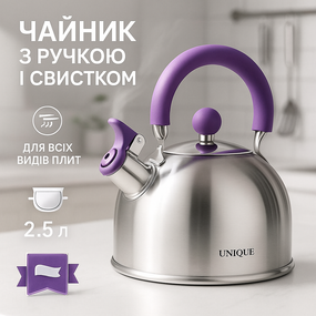 Чайник для плиты с громким свистком Unique UN-5302 2.5 л, Нержавеющие чайники со свистком BT-92