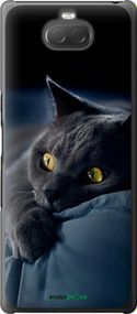 Чохол на Sony Xperia 10 Plus I4213 Димчастий кіт "825t-1690-2448"
