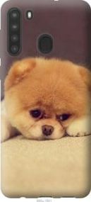 Чехол на Samsung Galaxy A21 Boo 2 из силикона FCh_037010