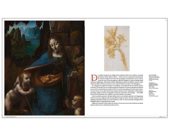 Книга о жизни и творчестве Леонардо да Винчи Léonard de Vinci. Martin Kemp великие художники книги | Зображення 7