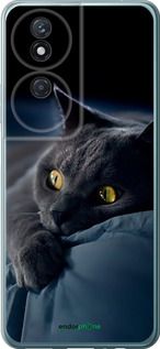 Чохол на Huawei Honor Play 50 Plus Димчастий кіт "825u-3399-2448"