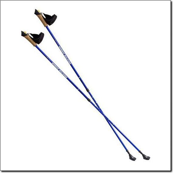 Палки для скандинавської ходьби NILS Extreme NW 607 Blue (розсувні, алюміній, 2 секції) | Зображення 1