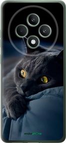 Чохол на Oppo Reno12 F 5G Димчастий кіт "825u-3771-2448"