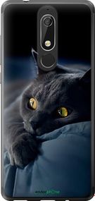 Чохол на Nokia 5.1 Димчастий кіт "825u-1529-2448"