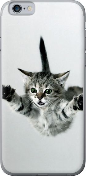 Чехол на iPhone 6s Летящий котёнок "2322u-90-17620"