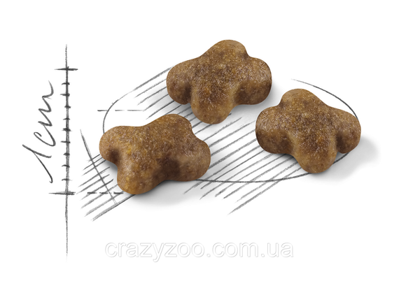 Сухой корм для котят Royal Canin Kitten 2 кг 2522020 | Зображення 1