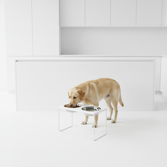 Миски на подставке для очень больших собак Hollky Base XXL40 (2 × 2,8 л) BXXL40-643240-WHWH | Зображення 1