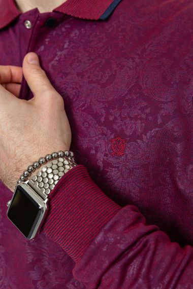 Поло чоловіче з довгим рукавом, колір сливовий, 157R304-1 | Зображення 4