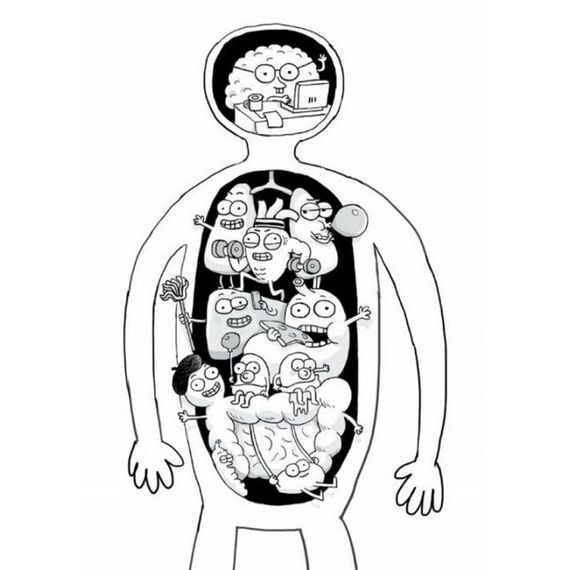 Енциклопедія дошкільника "Анатомія для дітей" 154101 | Зображення 6