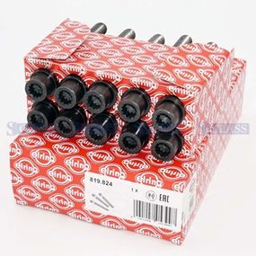 Комплект болтов ГБЦ VW T4/LT/Caddy II 1.9 D/TD (M12x1.75x115),819.824