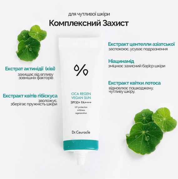 Набір сонцезахисних кремів з центелою Dr. Ceuracle Cica Regen Vegan Sun Duo Set (2*50 ml) | Зображення 2