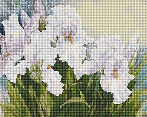 Алмазная мозаика Ирисы 40х50 см ColorArt SP104 | Зображення 1