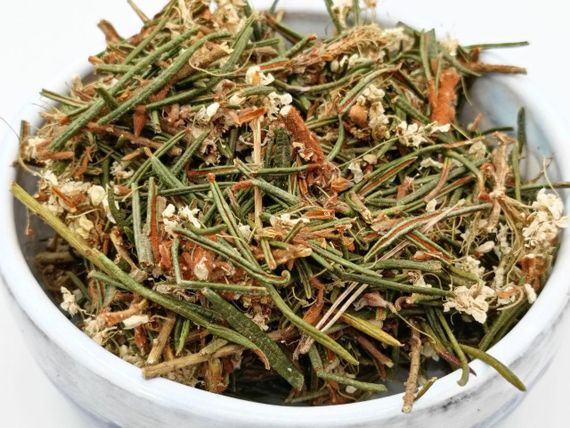 Багульник болотный (богульник), 25 г | Зображення 1