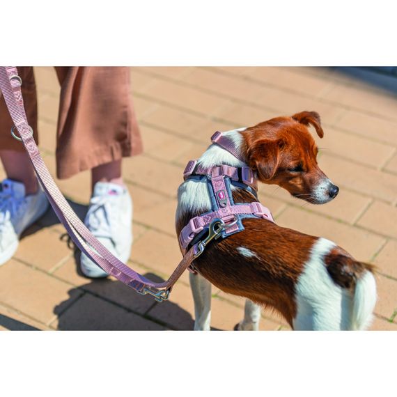 Шлея Trixie Premium для собак трекінгова XS–S 32–38 см 13 мм рожево-сіра | Зображення 1