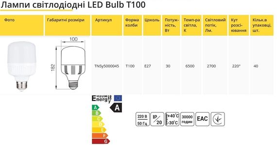 Лампа светодиодная LED Bulb T100 30W E27 220V 6500K 2700L ICCD Ny95000045 | Зображення 1