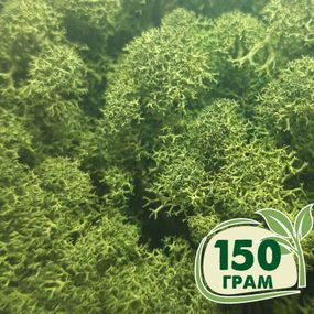 Стабілізований мох ягель Зелений темний 150 грам
