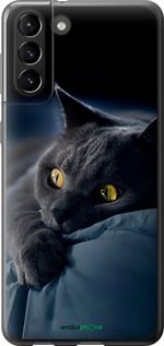 Чохол на Samsung Galaxy S21 Plus Димчастий кіт "825u-2115-2448"