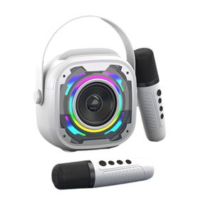 Портативна Бездротова Bluetooth Караоке Система Переносна з Двома Мікрофонами LED Підсвічуванням та Функцією Зміни Голосу V11 Біла