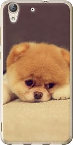 Чехол на Huawei Y6 II Boo 2 "890u-338-17620"