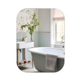 Дзеркало Lidz Nicole 450х600 настінне прямокутне із заокругленими кутами LD78NI4560