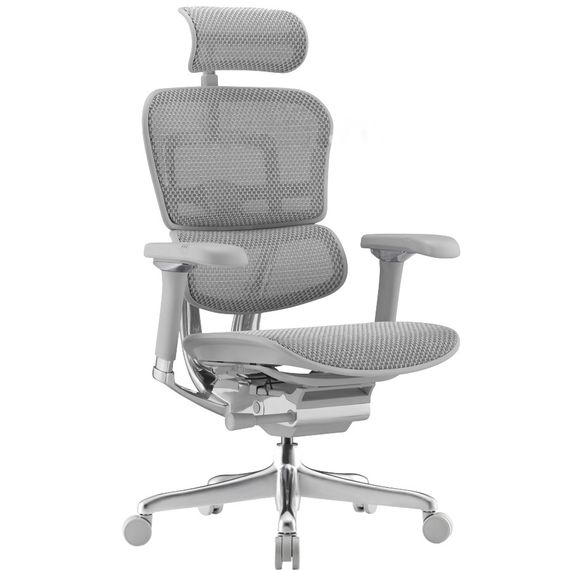 Кресло компьютерное ERGOHUMAN LUXURY 2 Gray (EHE2-AG-HAM-5D-L) | Зображення 2