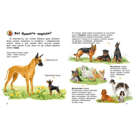 Энциклопедия дошкольника Собаки 614035 для самых маленьких | Зображення 3