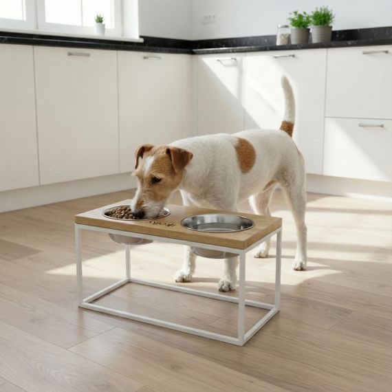 Миски на подставке для средних и больших собак Hollky Base L (2 × 0,95 л) BL-422120-WHNT | Зображення 1