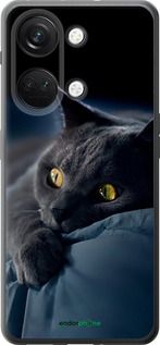 Чохол на OnePlus Nord 3 Димчастий кіт "825u-3416-2448"