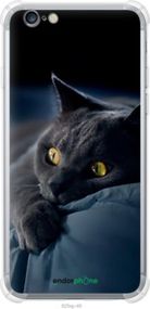 Чохол на iPhone 6s Plus Димчастий кіт "825sp-91-2448"