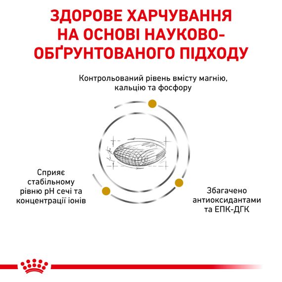 Сухий корм Royal Canin Urinary S/O при сечокам'яній хворобі у собак. 13 кг | Зображення 1