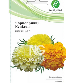 Чорнобривці Купідон низькі 0,2гр WestGard