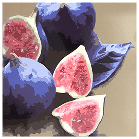 Металокерамічний дизайн-обігрівач UDEN-500К "Інжир" універсал