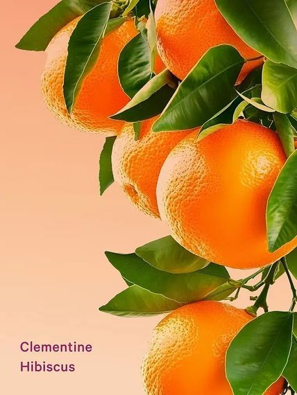 Подарочный набор Victoria's Secret VSX Clementine Hibiscus (body cream, mist, body wash) | Зображення 3