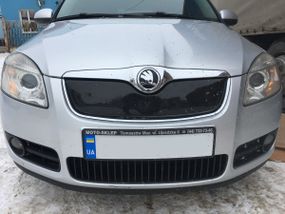 Зимняя накладка на решетку (2007-2010, верхняя) Матовая для Skoda Roomster
