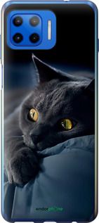 Чохол на Motorola Moto G Plus Димчастий кіт "825u-2202-2448"