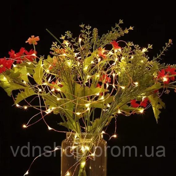 Світлодіодна гірлянда Роса USB+пульт ДК колір Теплий Білий 10м | Зображення 4