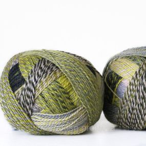 Шкарпеткова пряжа Schoppel Zauberball Crazy, 2204