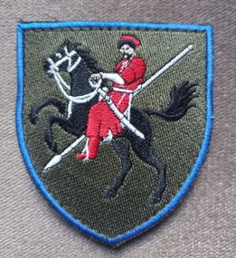 Шеврон 110 ОМБР